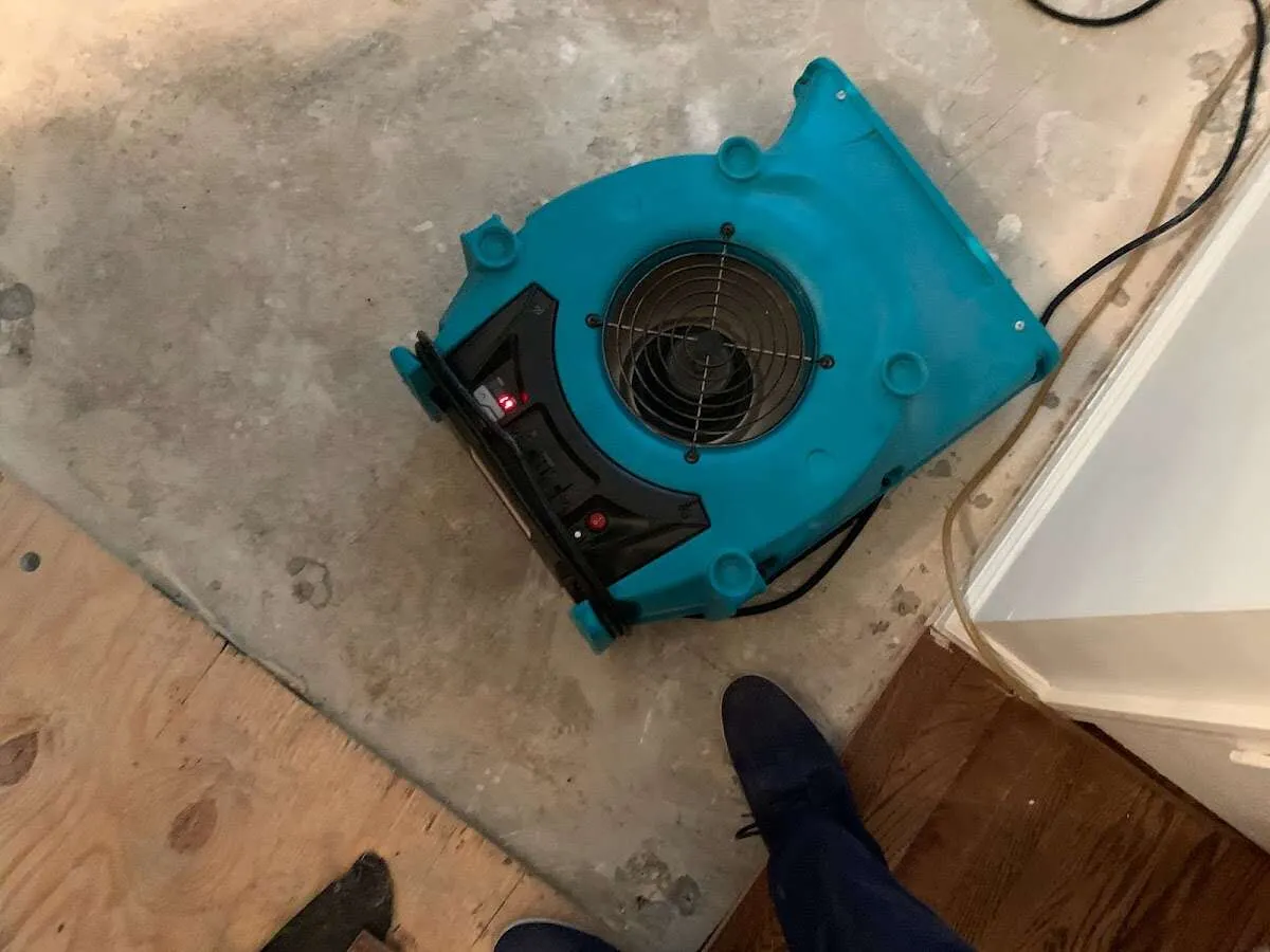 Air mover drying subfloor during Leak Detection & Repair in Etowah